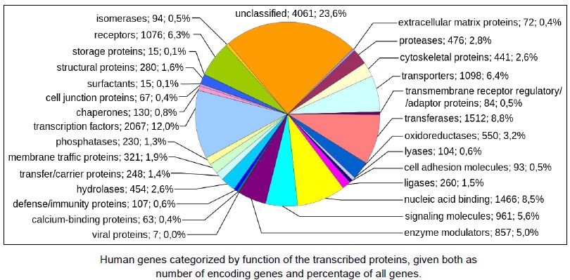 Human Genome Project